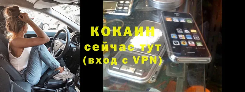 наркота  Приволжск  mega как зайти  КОКАИН VHQ 